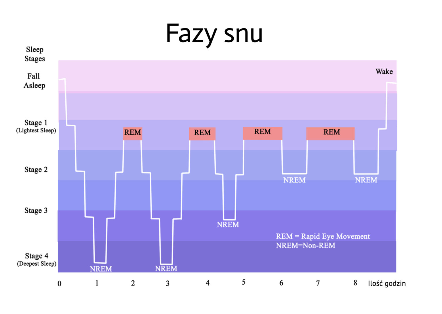 jak-spa-eby-si-dobrze-wyspa-fazy-snu-rem-nrem-km